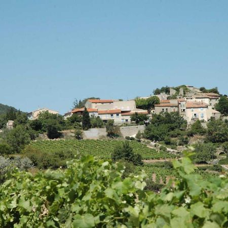 Cecile Villa Montgaillard  Bagian luar foto
