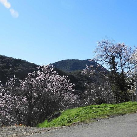 Cecile Villa Montgaillard  Bagian luar foto