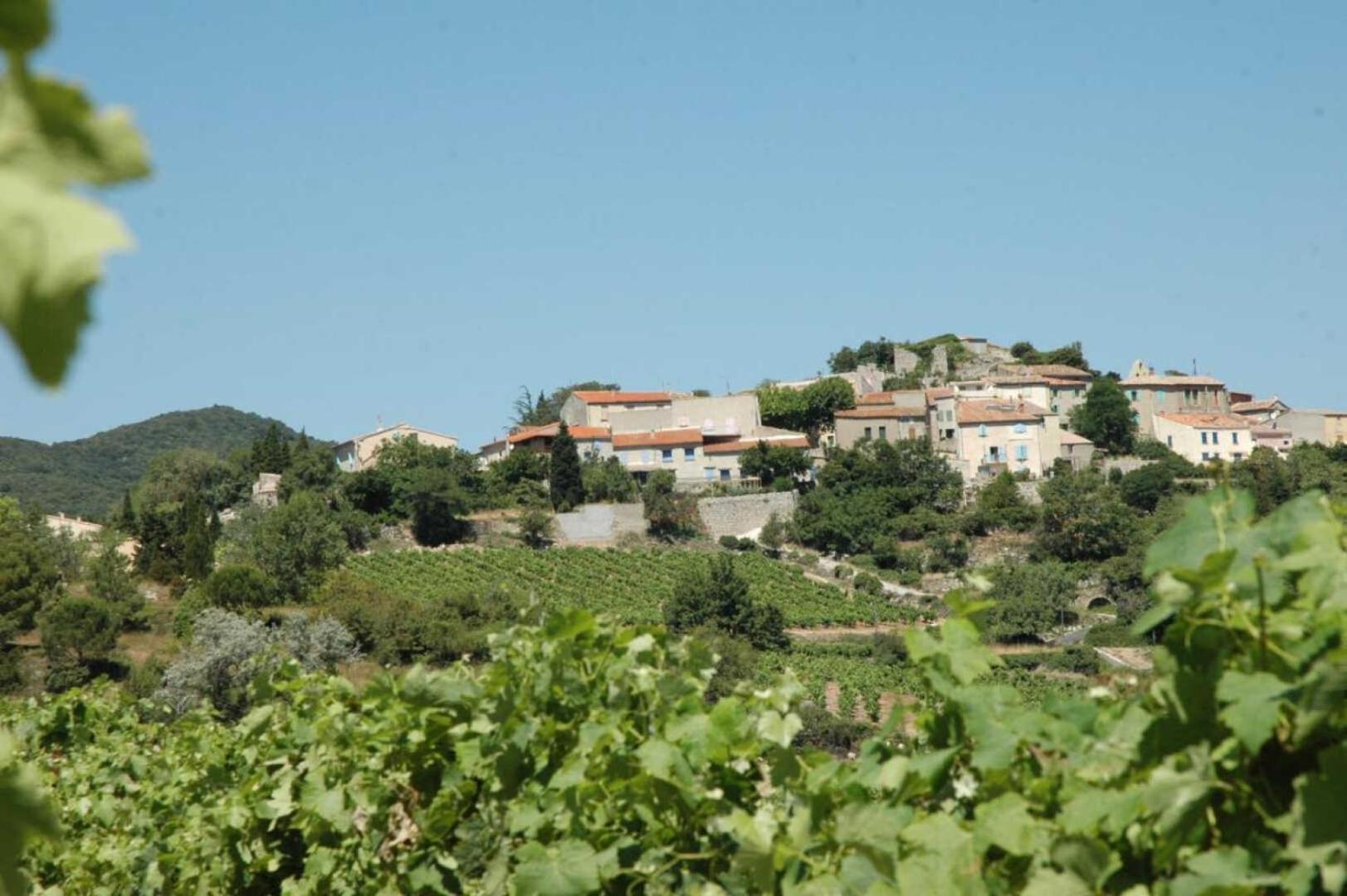 Cecile Villa Montgaillard  Bagian luar foto